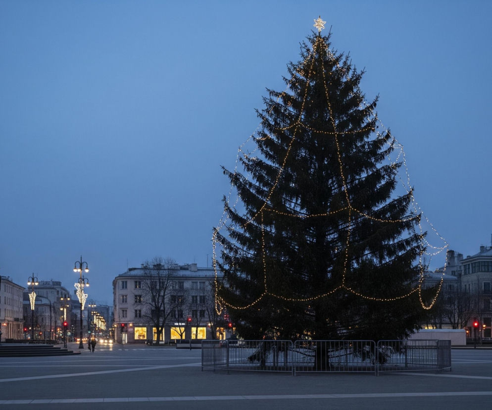 Duża, ciemnozielona choinka, ozdobiona jasnymi, ciepłymi lampkami w kształcie gwiazdy na szczycie i rozwieszonymi girlandami, stoi na pustym placu miejskim. Na pierwszym planie choinka otoczona jest metalowym ogrodzeniem. W tle widać budynki o jasnych elewacjach, z oknami emitującymi pomarańczowe światło, oraz ulice z zapalonymi latarniami i czerwonymi światłami sygnalizacji. Po lewej stronie placu stoi ciemna statua na postumencie, również otoczona dekoracjami świetlnymi.