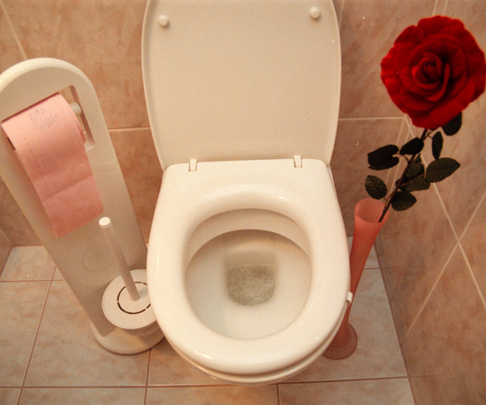 toaleta, sedes, wc
