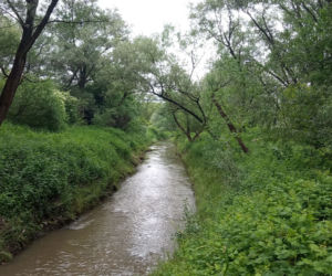 Park Rzeczny Wilga