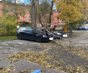 Wichury w Toruniu. Żywioł wywracał drzewa i nie tylko