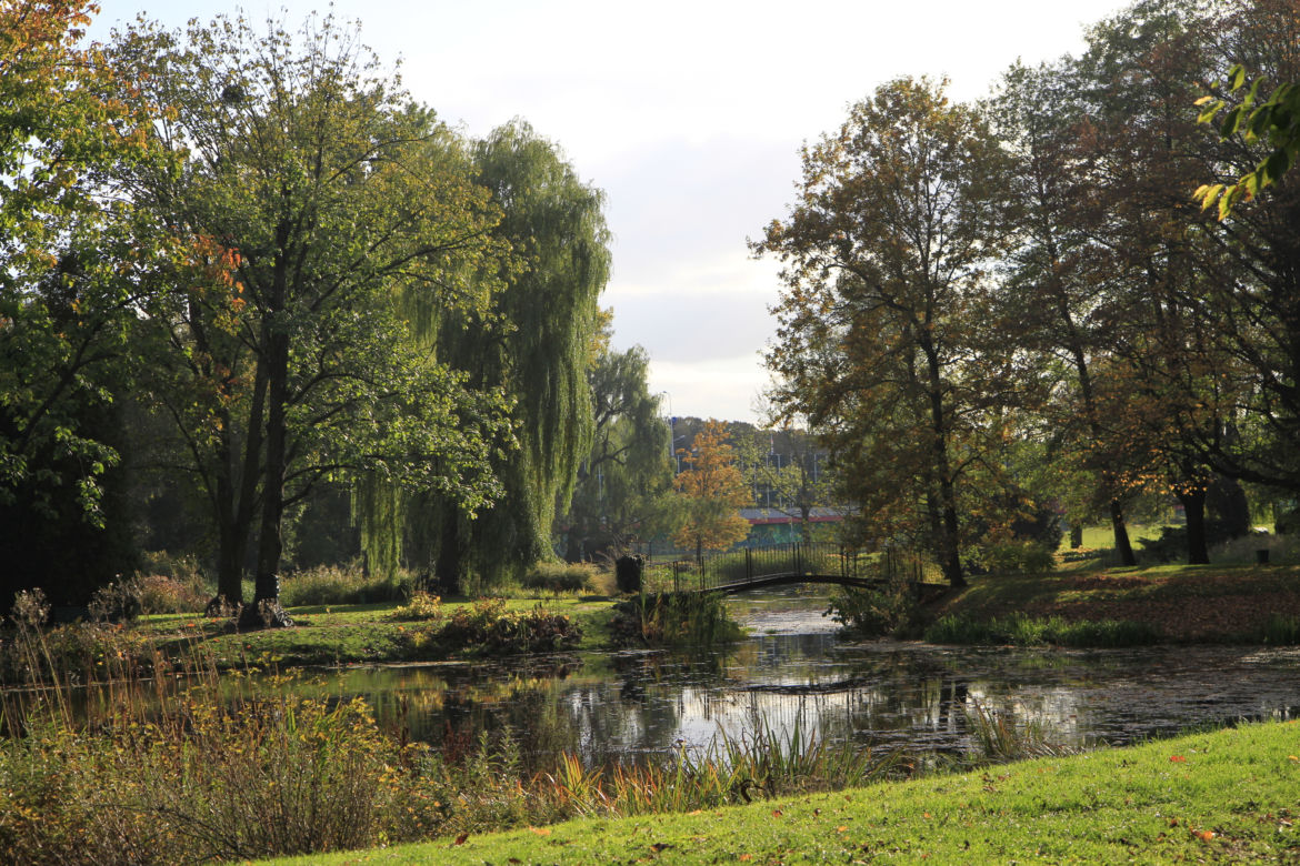Spacer po jesiennych Ogrodzie Botanicznym w Lublinie