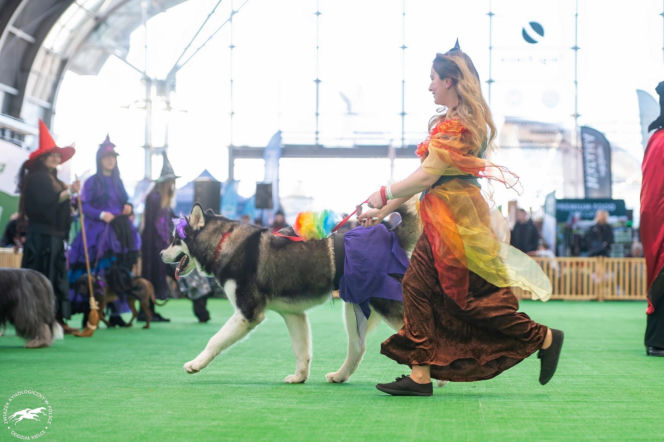 Duo Cacib Kielce - Międzynarodowa Wystawa Psów Rasowych w Targach Kielce