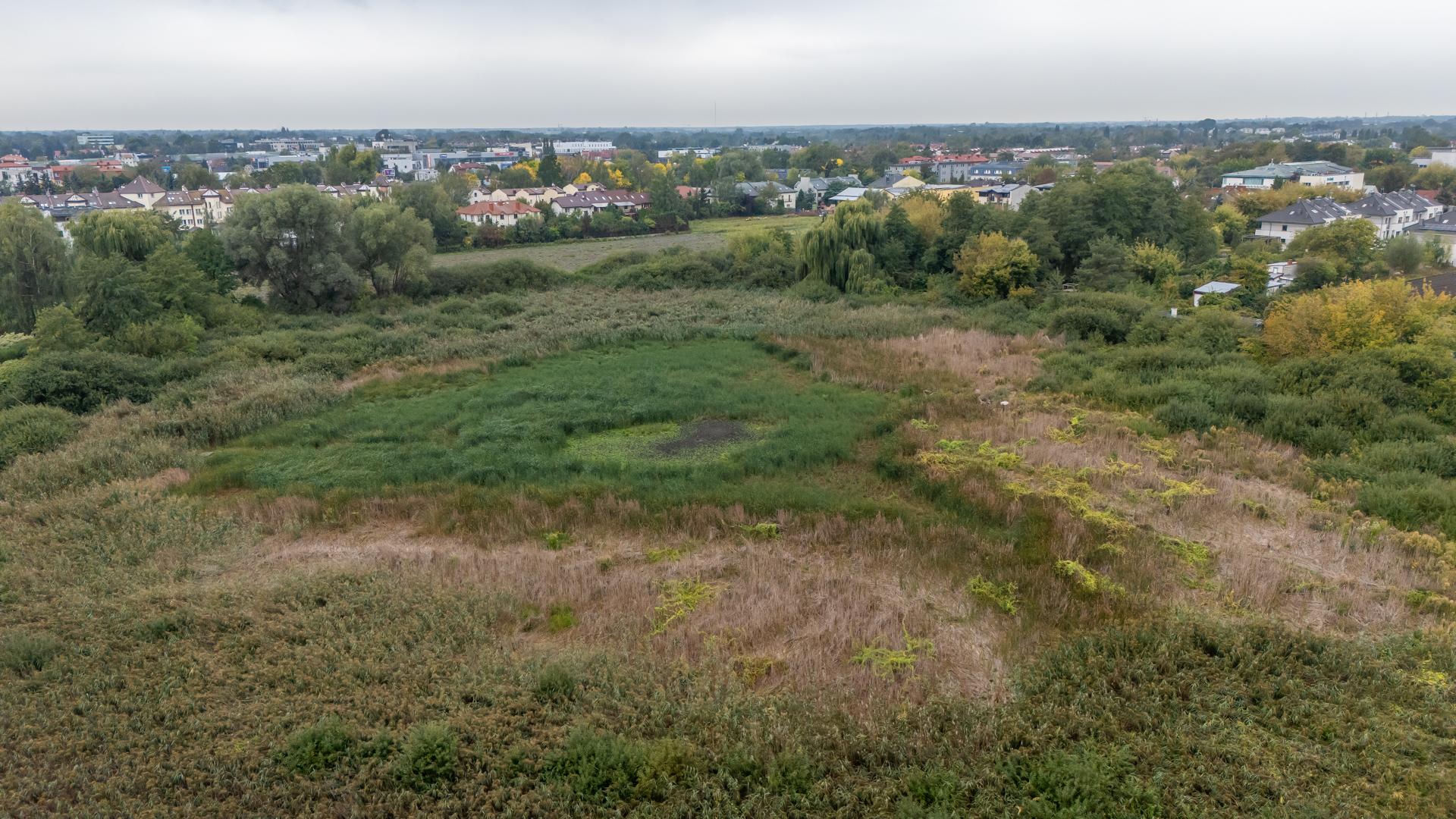 Wyschnięte Jeziorko Imielińskie w Warszawie