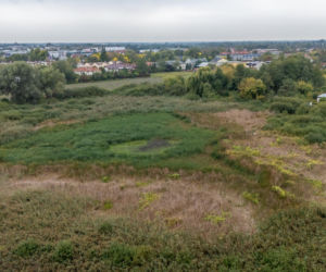 Wyschnięte Jeziorko Imielińskie w Warszawie