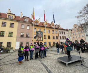 Marsz ciszy w Jeleniej Górze