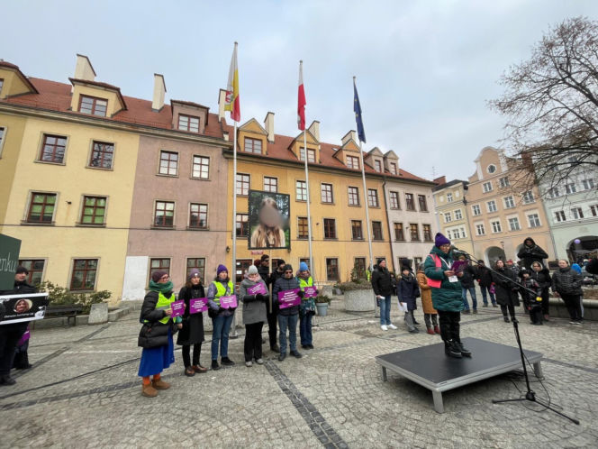Marsz ciszy w Jeleniej Górze