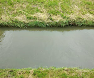 Sytuacja hydrologiczna w Tarnowie. Czy grozi nam powódź?