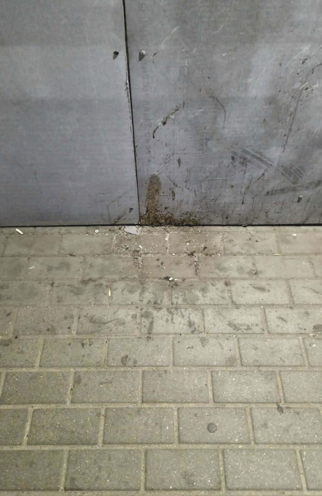 Bród i smród w tunelu pod torami w Siedlcach