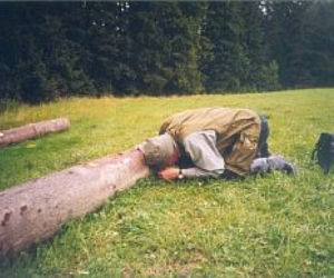 Salamandry 1