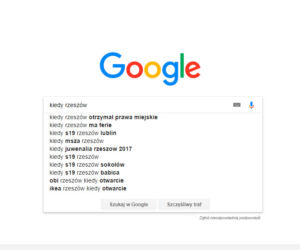 Rzeszów w Google