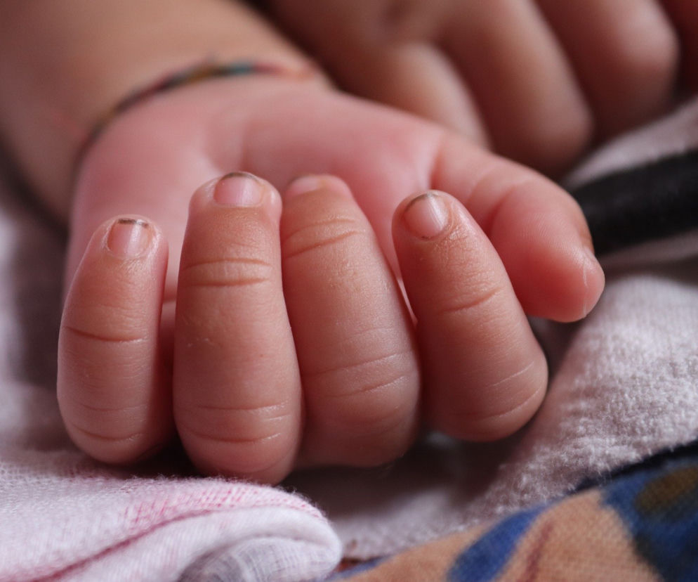 Płońsk. Ciało noworodka zawinięte w torebki. Znamy przerażające szczegóły! Do kogo należą ślady krwi?