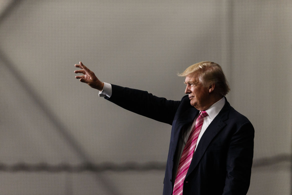 Trumpogąsienica! Owad z Peru wygląda jak Donald Trump