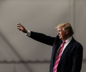 Trumpogąsienica! Owad z Peru wygląda jak Donald Trump