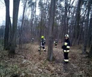 ZWŁOKI starszego mężczyzny znalezione w lesie! Był poszukiwany przez rodzinę