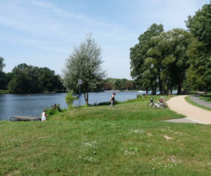 Stawy Stefańskiego