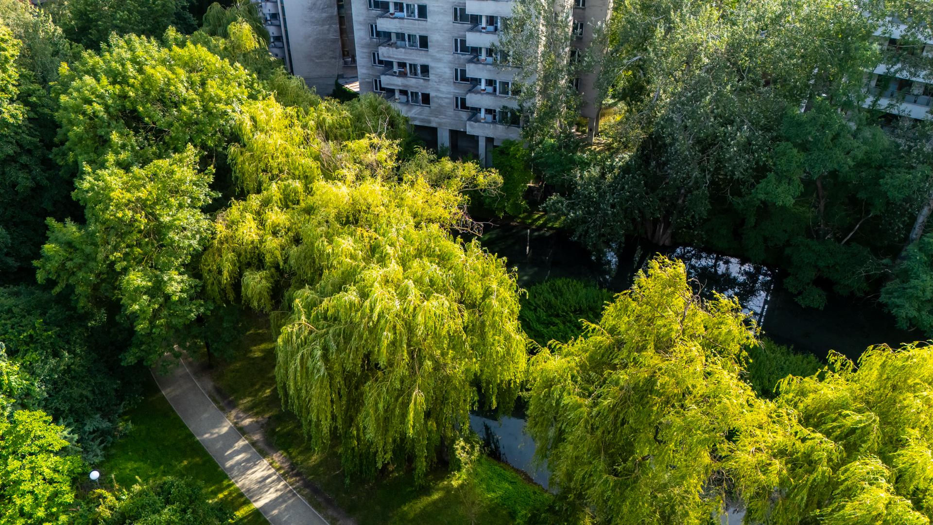 Szpiegowo w Warszawie