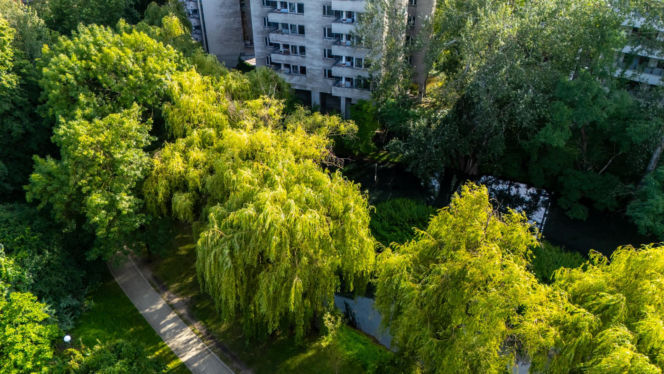 Szpiegowo w Warszawie