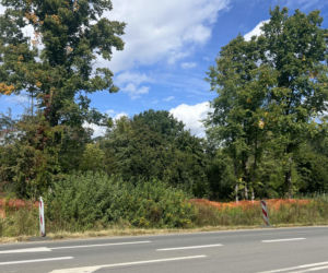 Zbudują ścieżkę rowerową za miliony, by za chwilę ją zburzyć? Absurdalna inwestycja we Wrocławiu