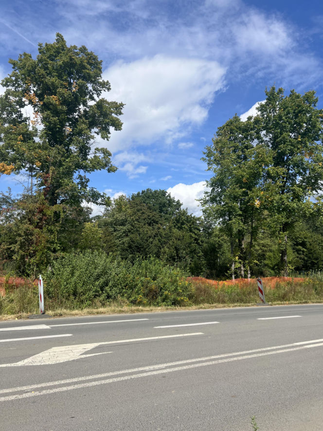 Zbudują ścieżkę rowerową za miliony, by za chwilę ją zburzyć? Absurdalna inwestycja we Wrocławiu