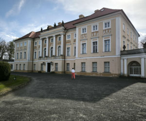 Pałac w Pawłowicach