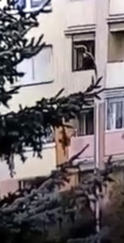 Wnuczek wyrzucił babcię z balkonu, nie pójdzie do więzienia