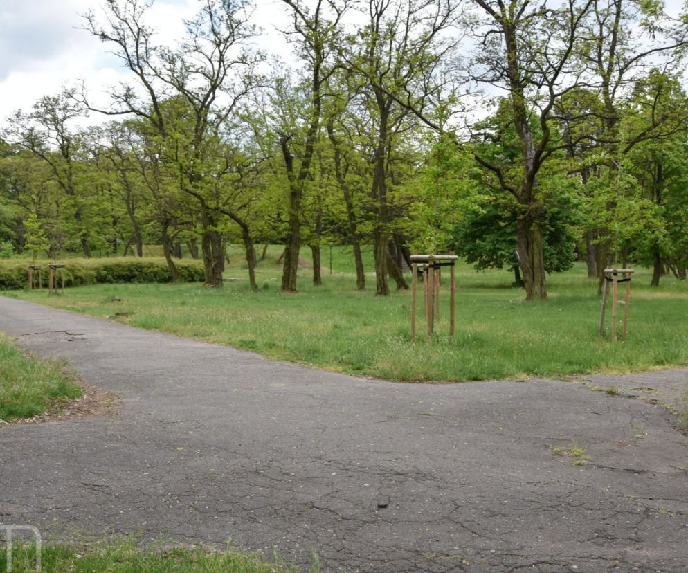 Park Tysiąclecia