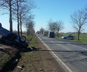 Kierowca BMW uderzył w drzewo w gminie Lubicz