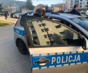 Słupsk: Poli zgubiła się na ulicy. Policja poszukuje właściciela psa