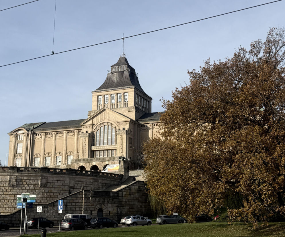 Zabytkowy budynek Muzeum Narodowego w Szczecinie na Wałach Chrobrego, z charakterystyczną wieżą i ozdobną fasadą. U podnóża muru obronnego, po prawej stronie, rozłożyste drzewo o brązowych liściach, a ulica z zaparkowanymi samochodami. Więcej o architekturze miasta na Architektura Murator Plus.