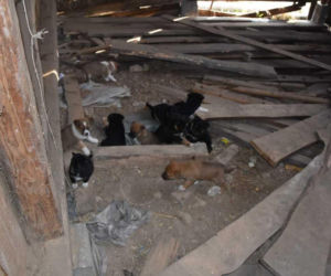 Sprawa ma swój dalszy, poważny ciąg