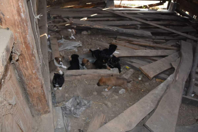 Sprawa ma swój dalszy, poważny ciąg