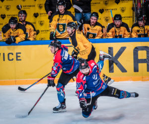 GKS Katowice - KH Energa Toruń 0:1, zdjęcia z Katowic