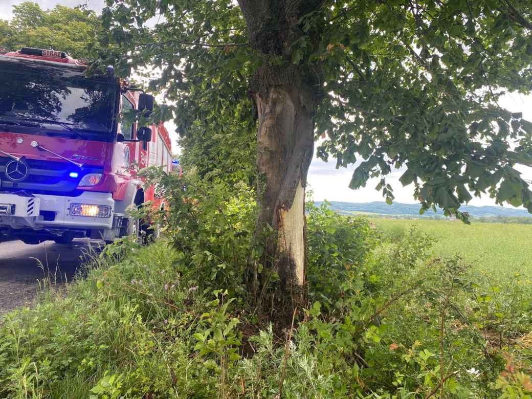  Tico wypadło z drogi i roztrzaskało się na drzewie. 55-latek zginął na miejscu 