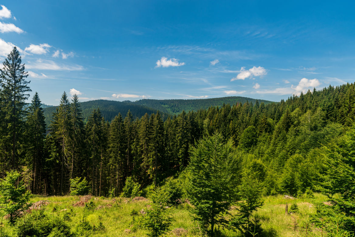 Beskid Mały z dzieckiem
