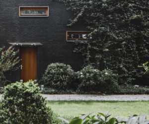Jungle House - dom wśród drzew