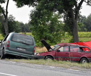 Dzieci jechały autem, zginęła 14-latka! MAKABRYCZNY wypadek na Lubelszczyźnie