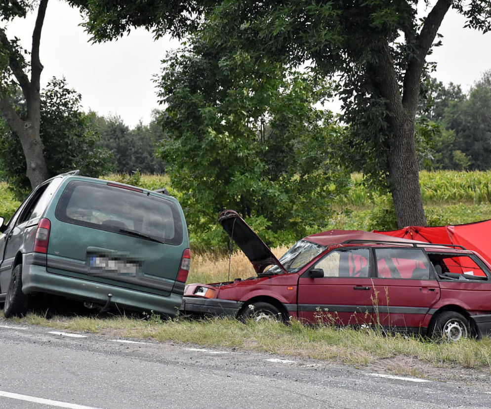 Dzieci jechały autem, zginęła 14-latka! MAKABRYCZNY wypadek na Lubelszczyźnie