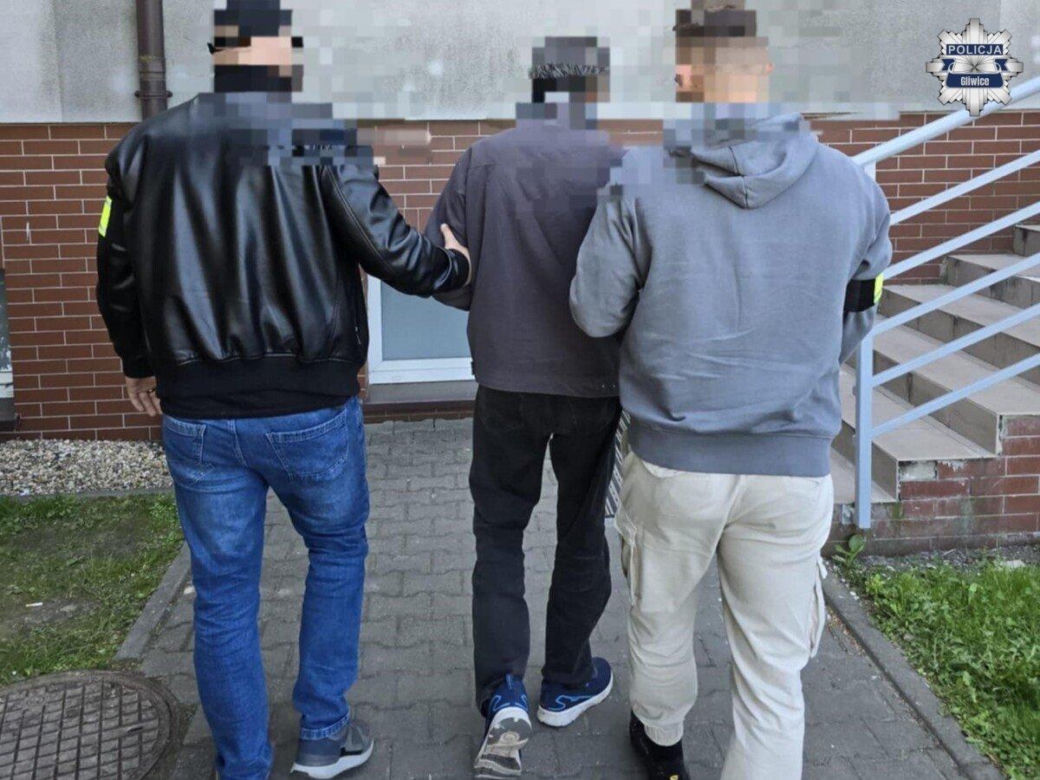 Wandal w rękach policji