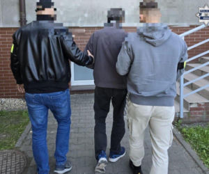 Wandal w rękach policji