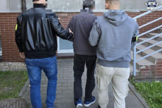 Wandal w rękach policji