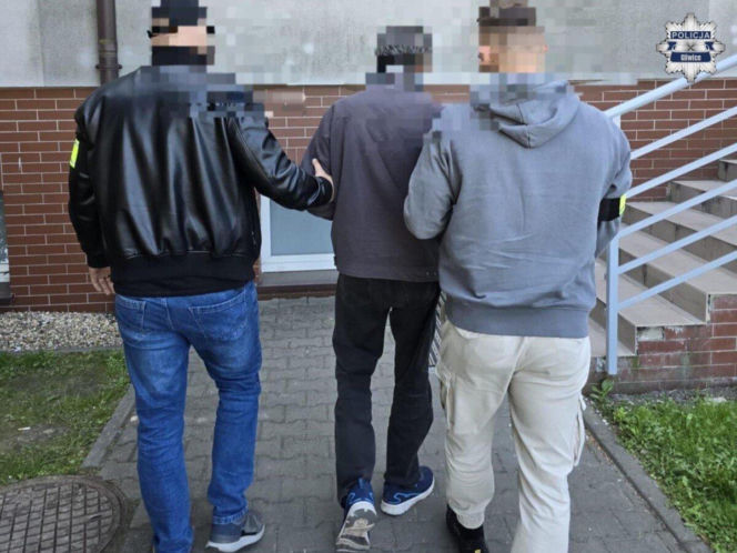 Wandal w rękach policji