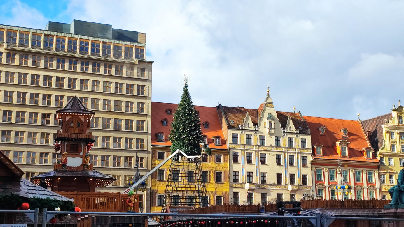 Na rynku we Wrocławiu stawiają 24-metrową choinkę. Będzie inna od poprzedniej 