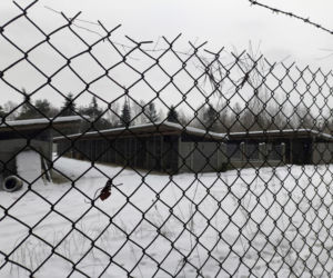 Ujadanie słychać z kilometrów. Odwiedziliśmy schronisko w Sobolewie. Tak nie brzmią szczęśliwe pieski