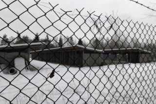 Ujadanie słychać z kilometrów. Odwiedziliśmy schronisko w Sobolewie. Tak nie brzmią szczęśliwe pieski