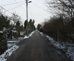 Poszukiwania Iwony Wieczorek