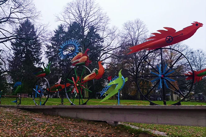 "Ogniste Ptaki" w Parku Kasprowicza w Szczecinie