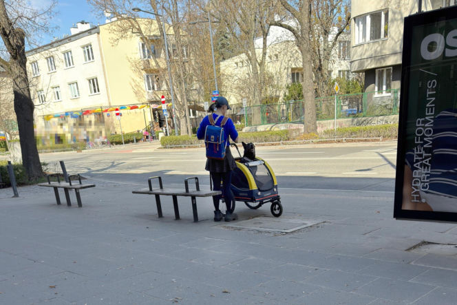 Tak Damięcka dba o psa