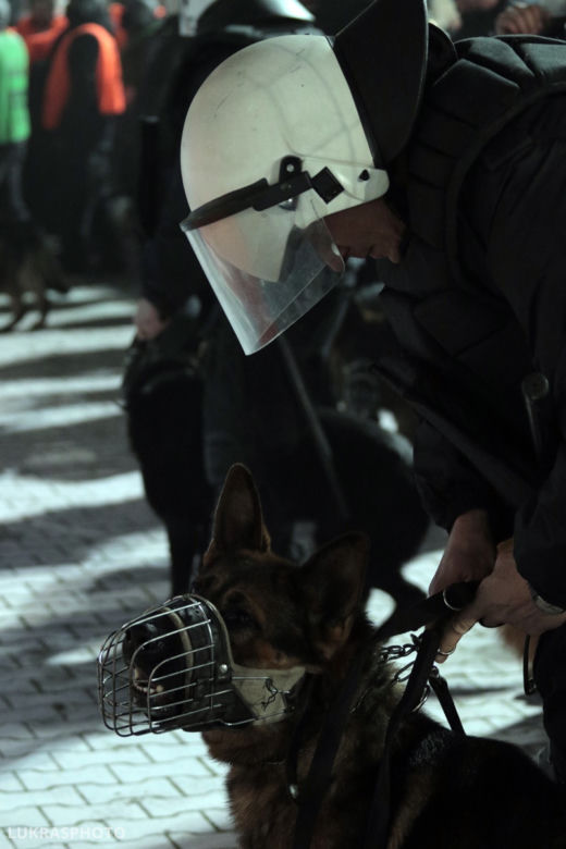 Derby Krakowa: Kibole ostrzelali sektor gości. Cały stadion w dymie [ZDJĘCIA, WIDEO, AUDIO]