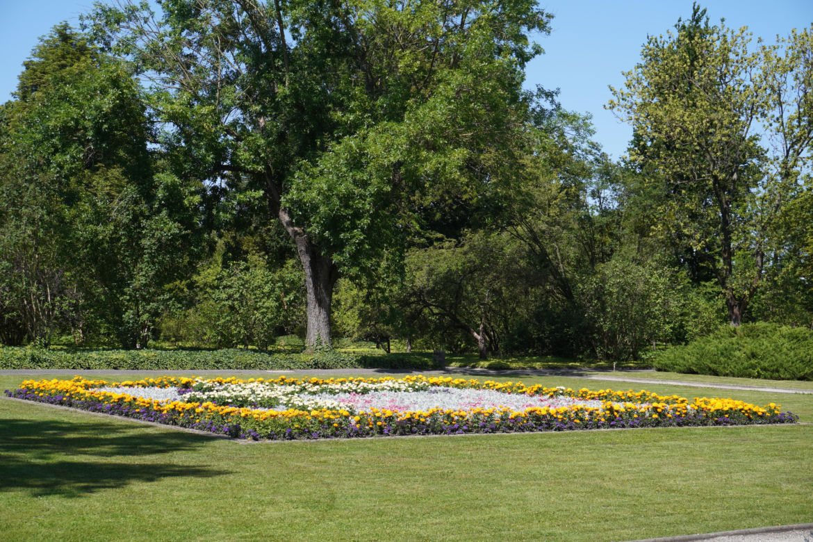 Ogród Botaniczny w Poznaniu 
