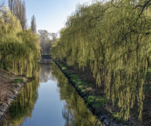 Rzeka w Śląskiem z najdłuższą nazwą